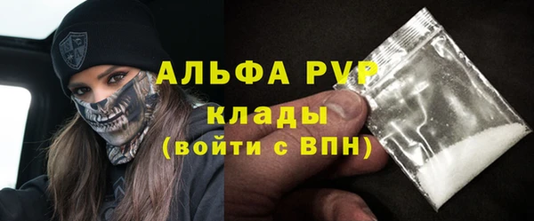 спиды Пересвет