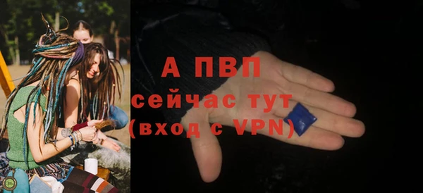 хмурый Пестово