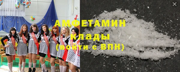 спиды Пересвет