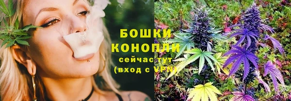 спиды Пересвет