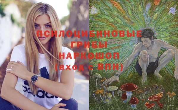 соль курить ск Переславль-Залесский