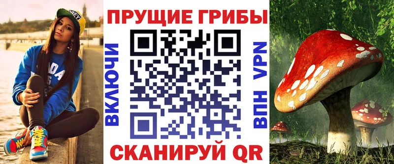 KRAKEN рабочий сайт Октябрьский Галлюциногенные грибы Cubensis