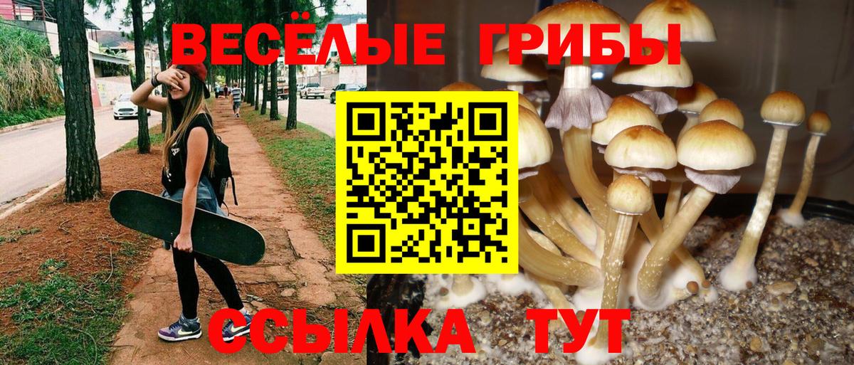 Галлюциногенные грибы Magic Shrooms Октябрьский